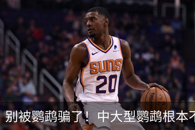 别被鹦鹉骗了！中大型鹦鹉根本不是宠物，是会飞的野生猛禽！