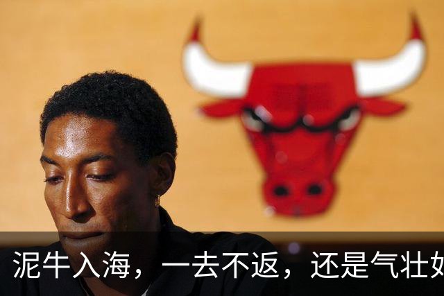 泥牛入海，一去不返，还是气壮如牛，卷土重来？这些新星给出了答案